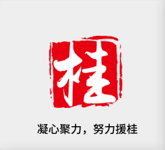 聚焦产业，努力援桂